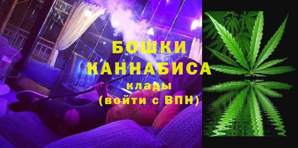 ECSTASY Богданович